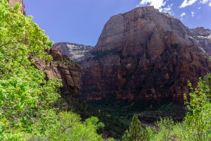 20210428ZionNP_D1023.jpg